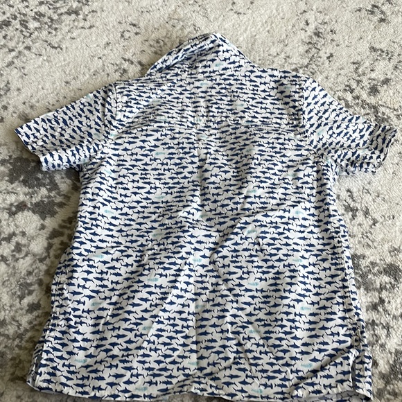 Shark attack - Picture 2 of 2